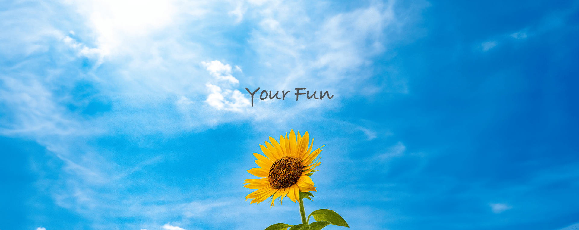 Your Fun