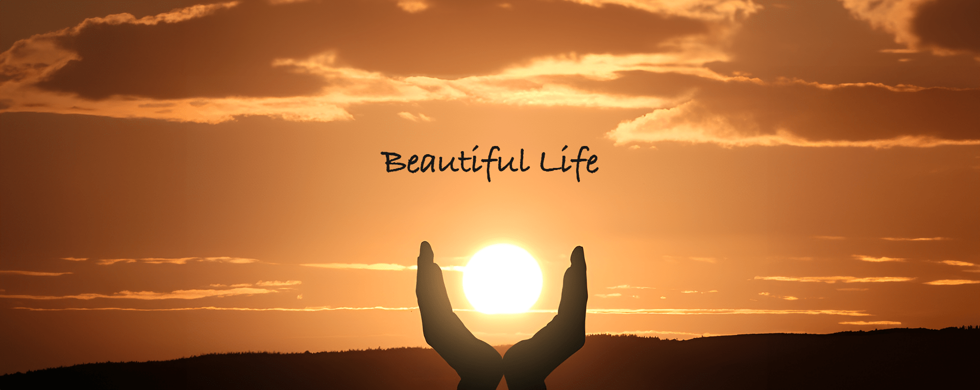 Beautiful Life